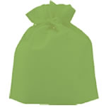 不織布 巾着袋 無地(大)パステルグリーン