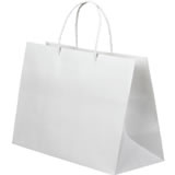 手提袋 フラットYL-35